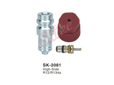 SK-2081
